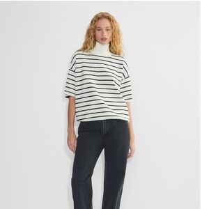 Aritzia Babaton Advice Turtleneck Sweater
